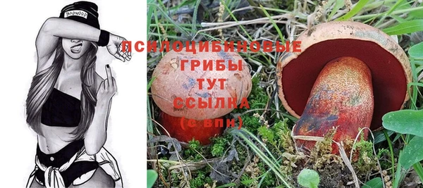 МДПВ Ладушкин