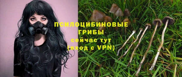 МДПВ Ладушкин