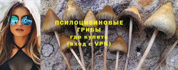 МДПВ Ладушкин