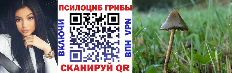 Галлюциногенные грибы MAGIC MUSHROOMS  Купить  Анжеро-Судженск 